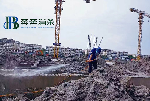 針對建筑工地的白蟻預防